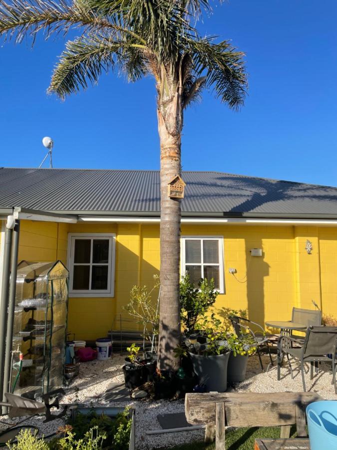 Ki Dragonfly Guesthouse Kingscote Exterior photo