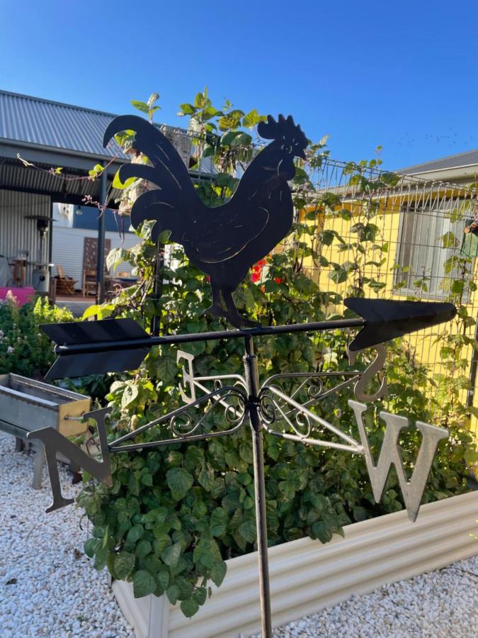 Ki Dragonfly Guesthouse Kingscote Exterior photo
