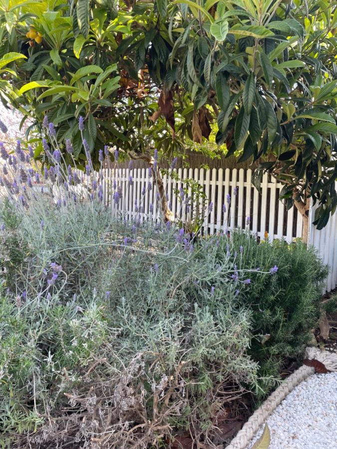 Ki Dragonfly Guesthouse Kingscote Exterior photo