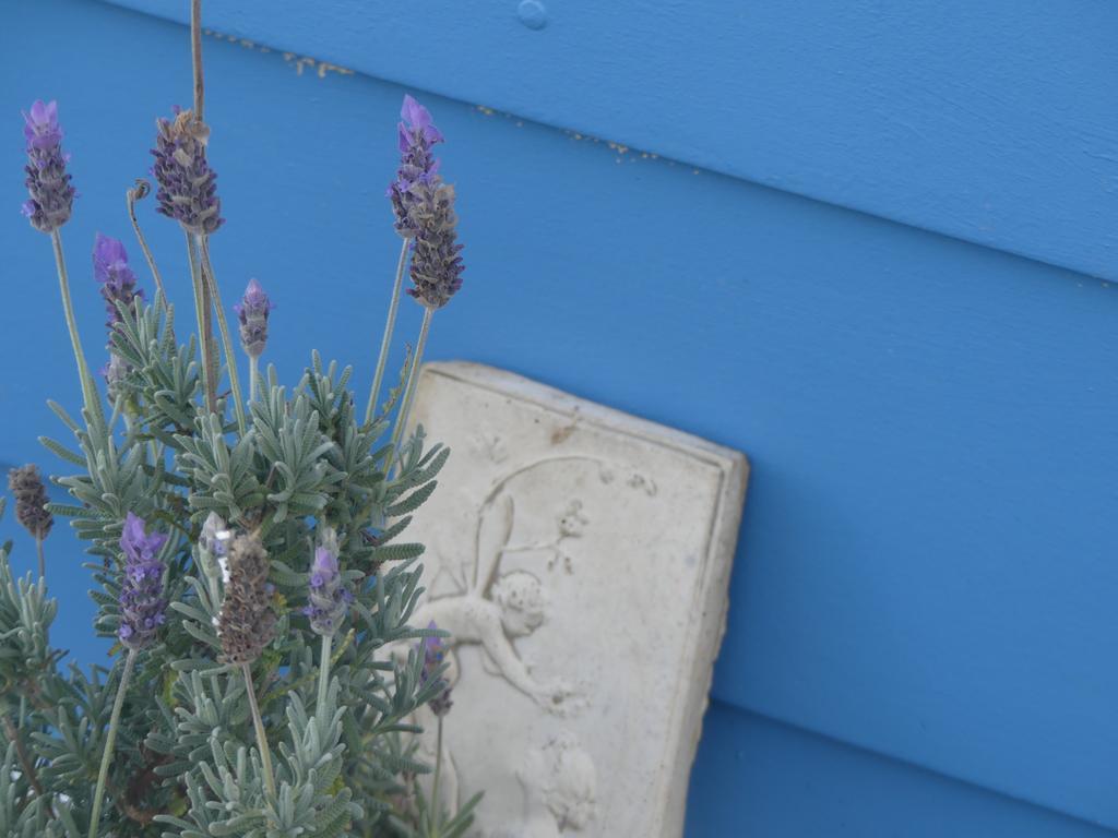 Ki Dragonfly Guesthouse Kingscote Exterior photo